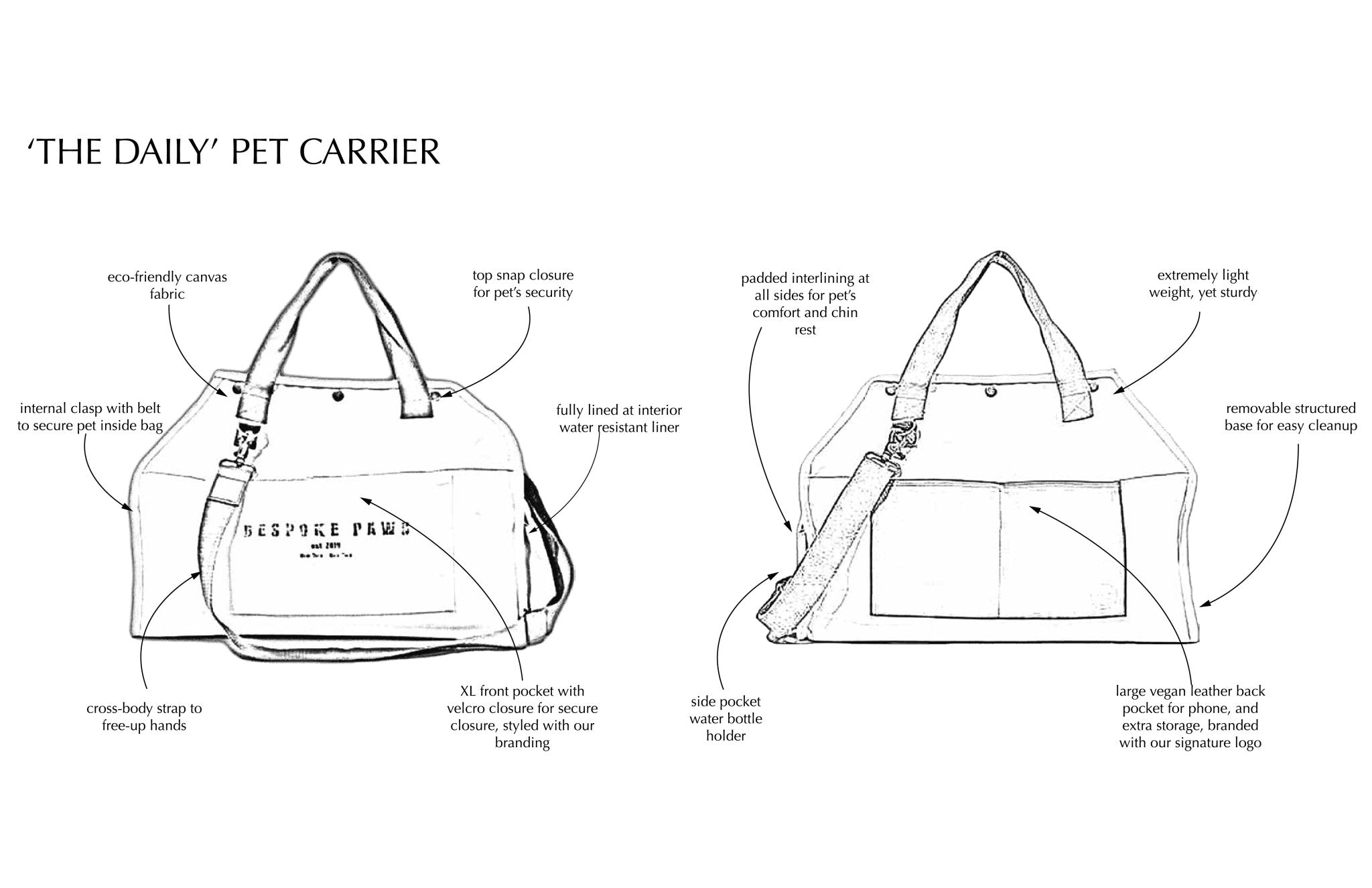 The Daily Carrier - NobAdy's Favorite