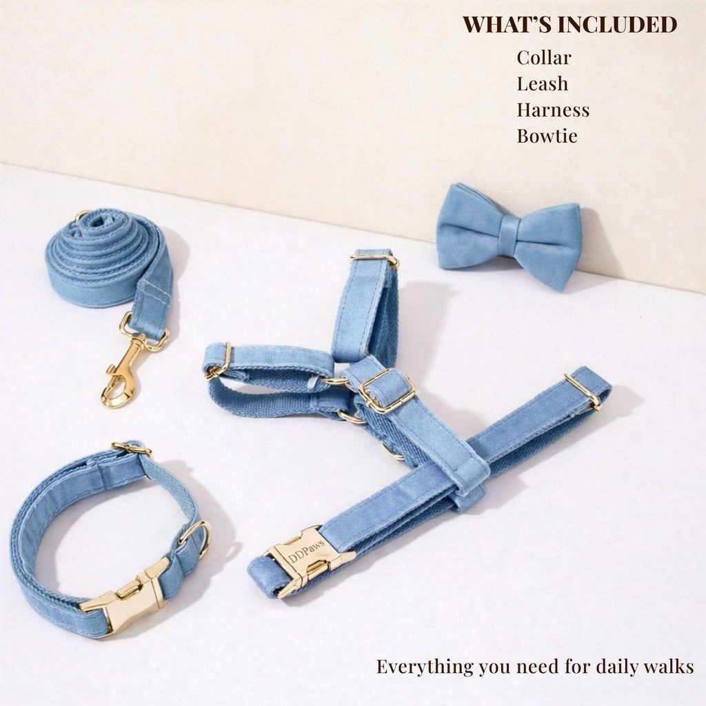 Blue Denim Set - NobAdy's Favorite