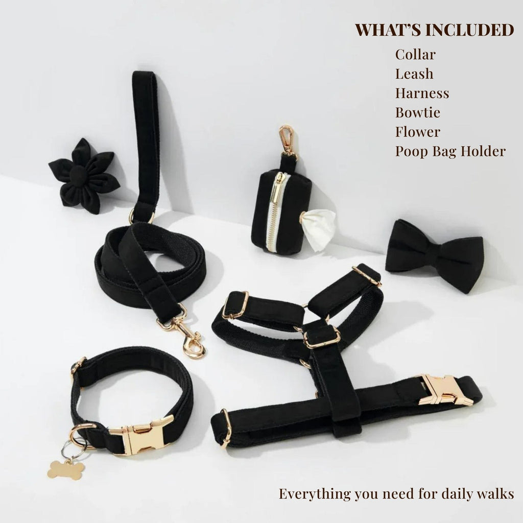 Black Velvet Set - NobAdy's Favorite