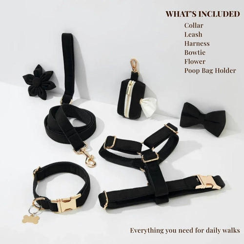 Black Velvet Set - NobAdy's Favorite