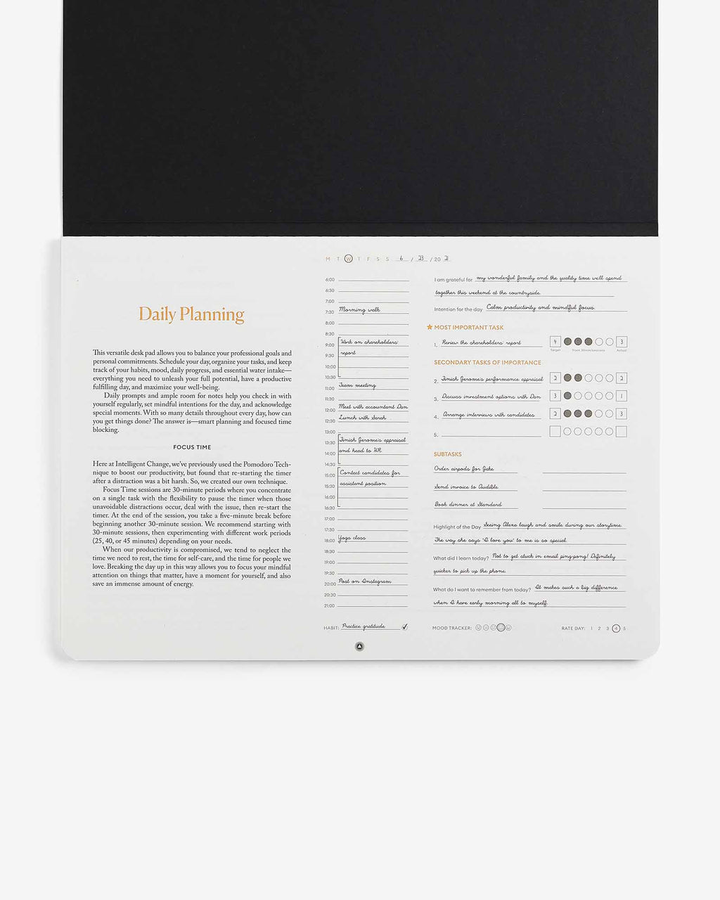 Productivity Daily Desk Pad - NobAdy's Favorite
