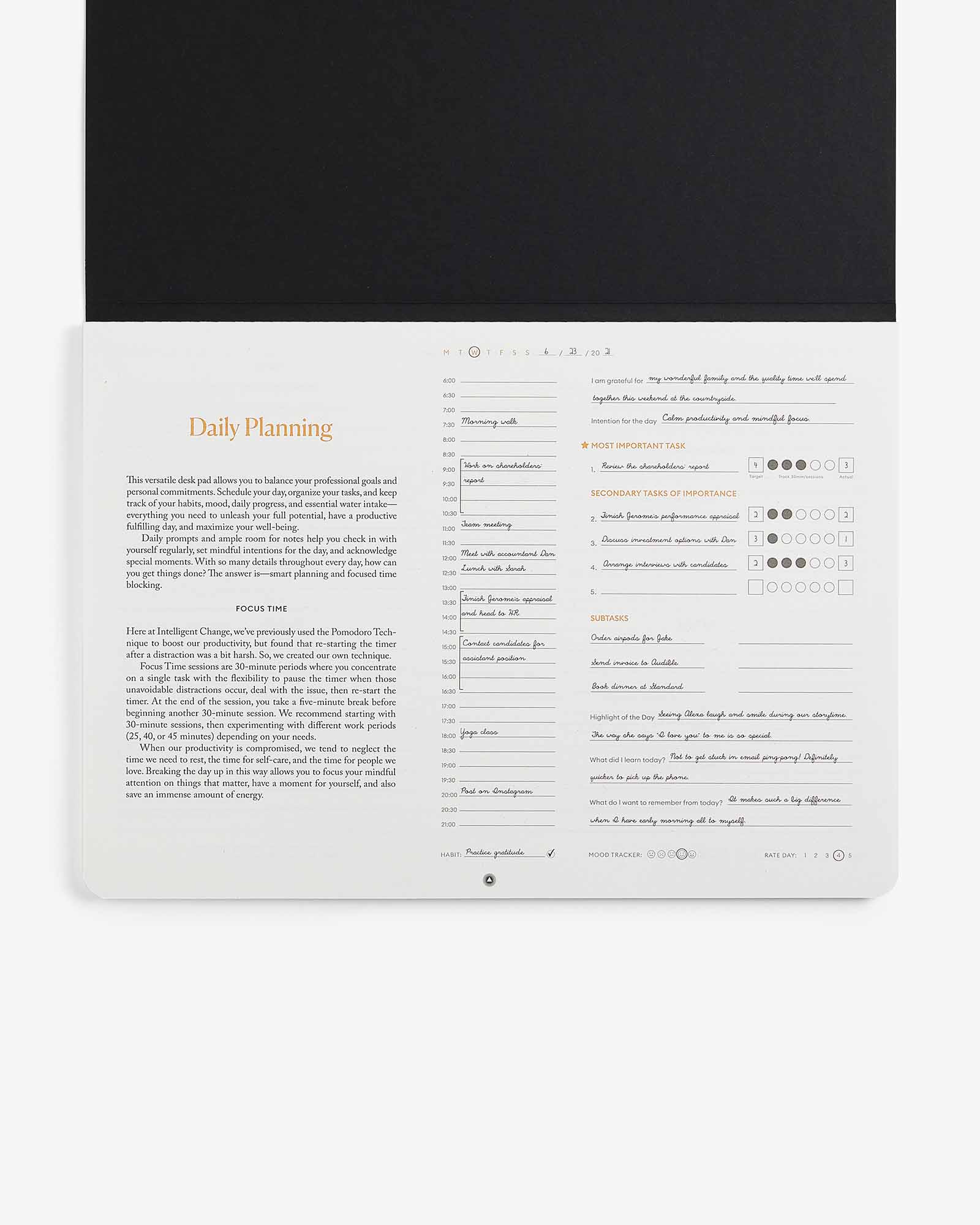 Productivity Daily Desk Pad - NobAdy's Favorite