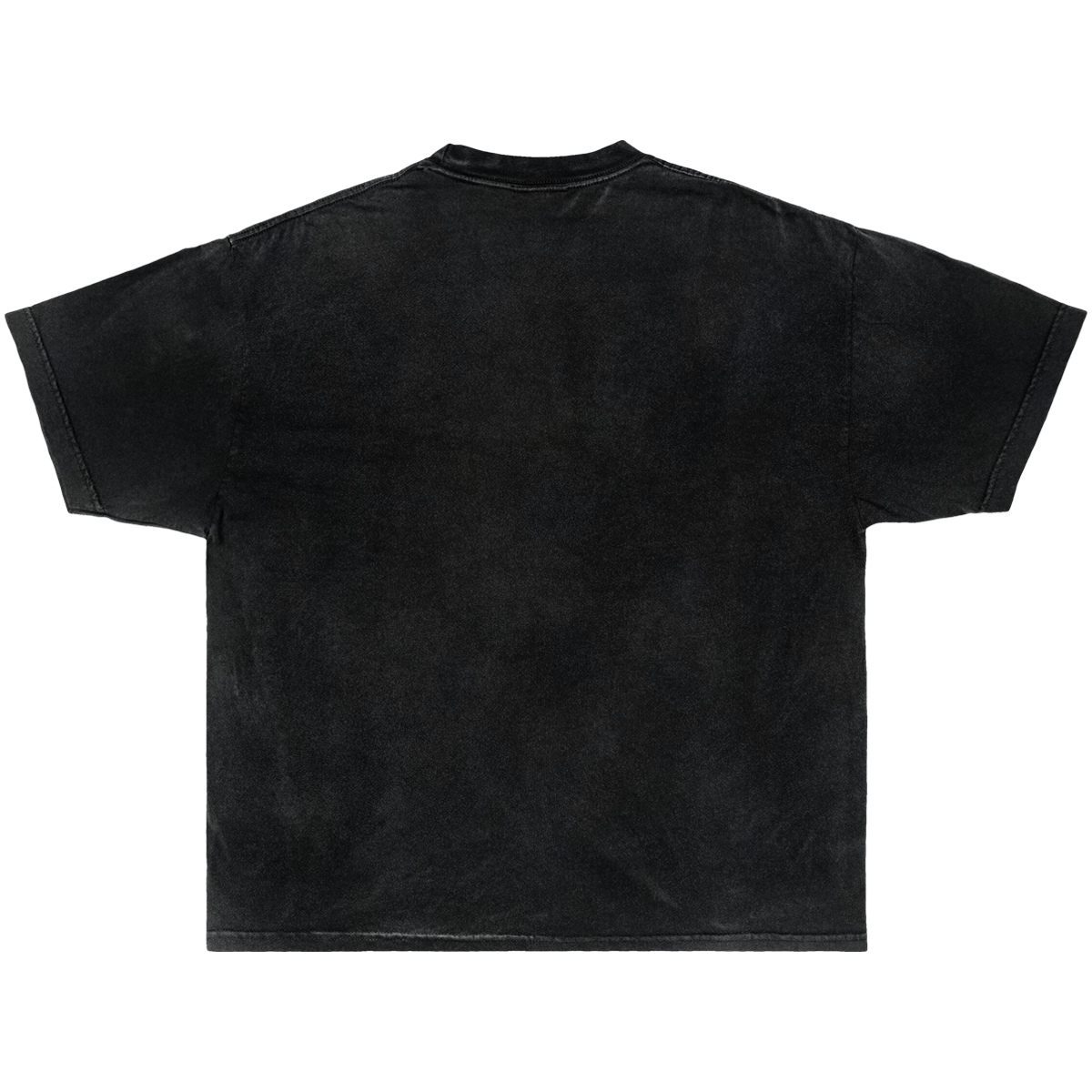 NOBADYS DOG TEE