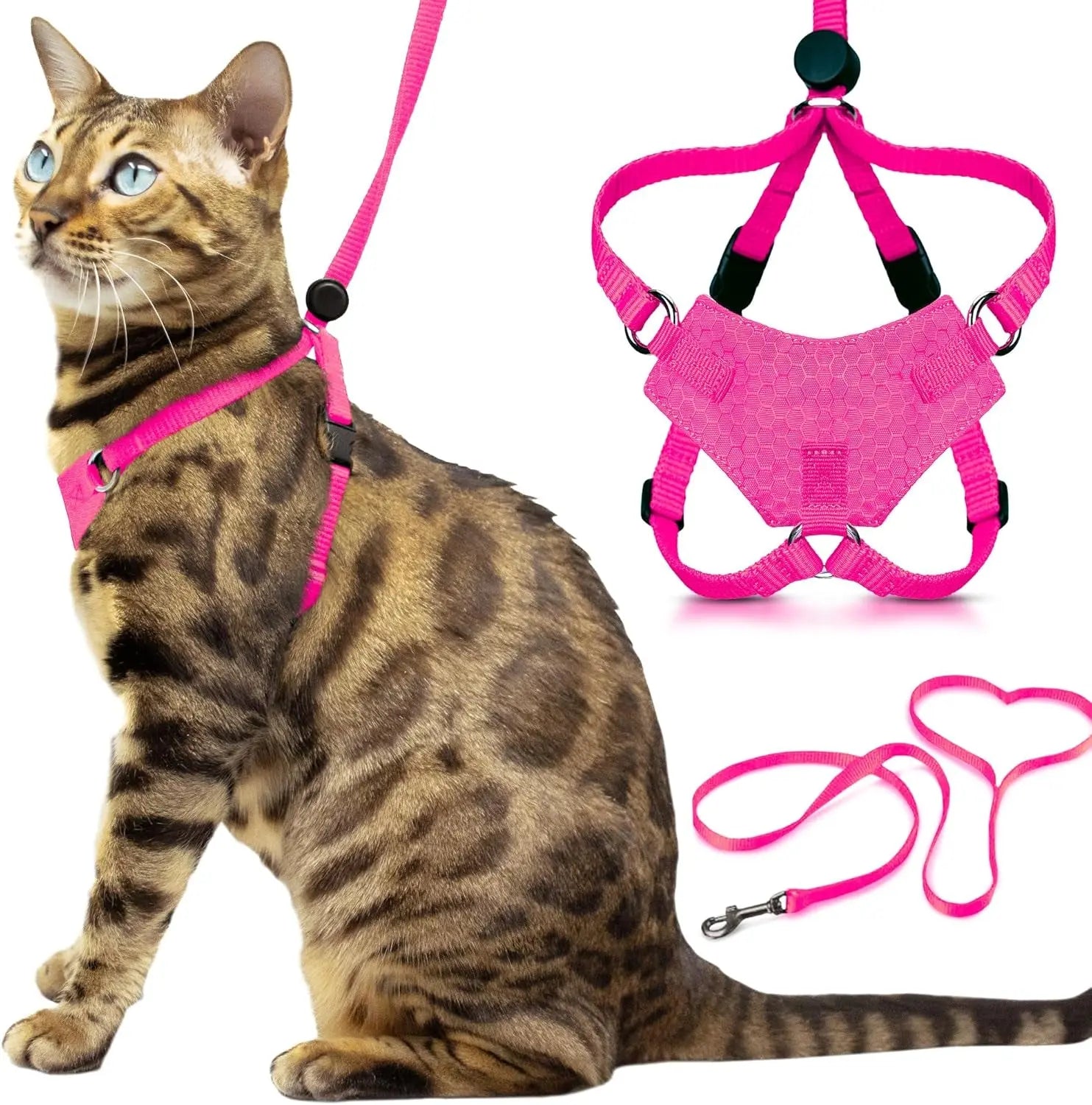 Explorer Cat Harness Set