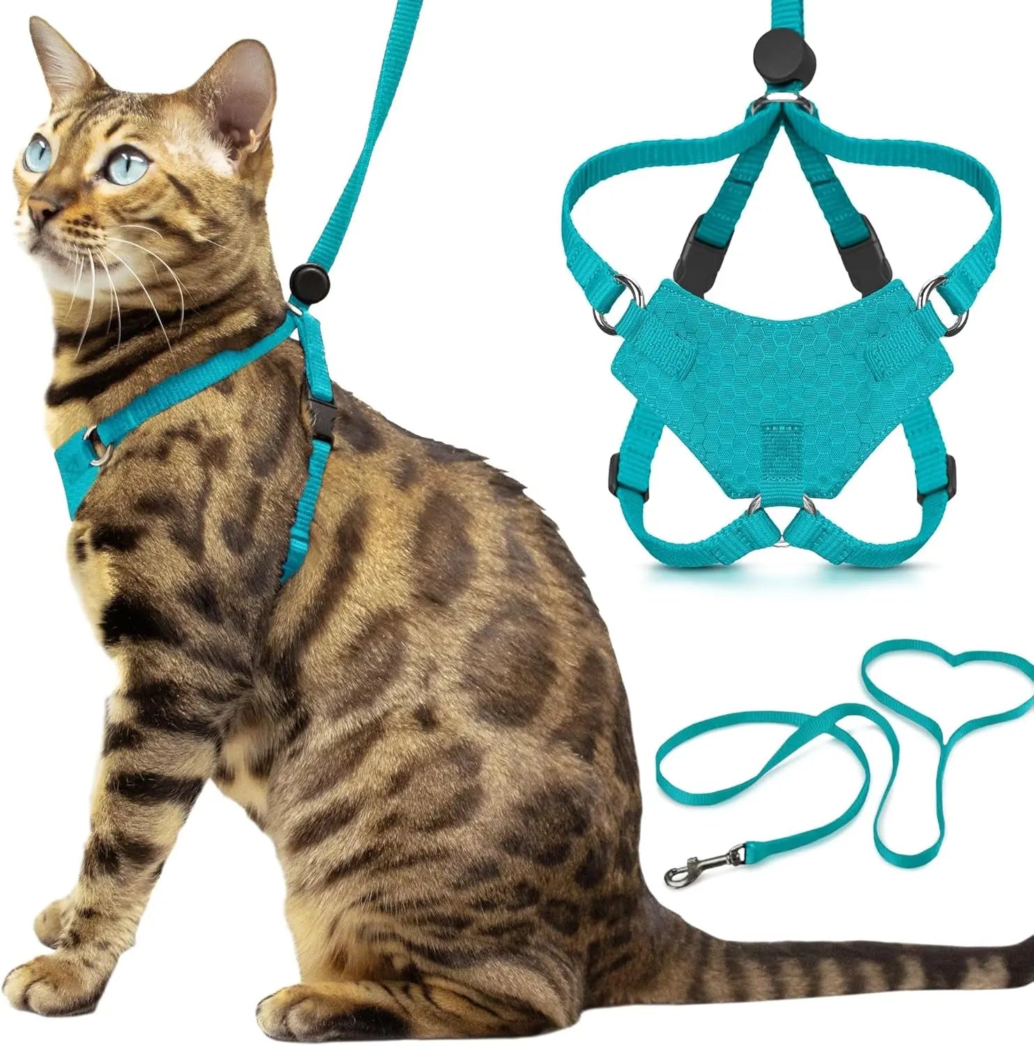 Explorer Cat Harness Set