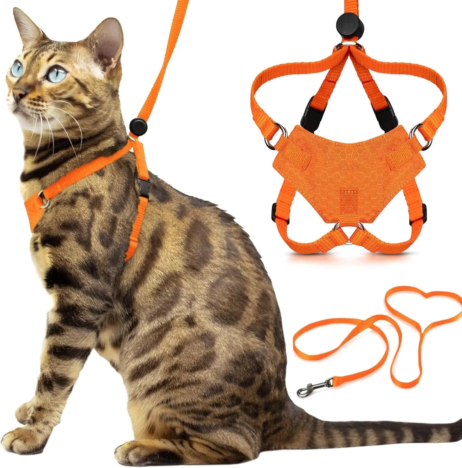 Explorer Cat Harness Set