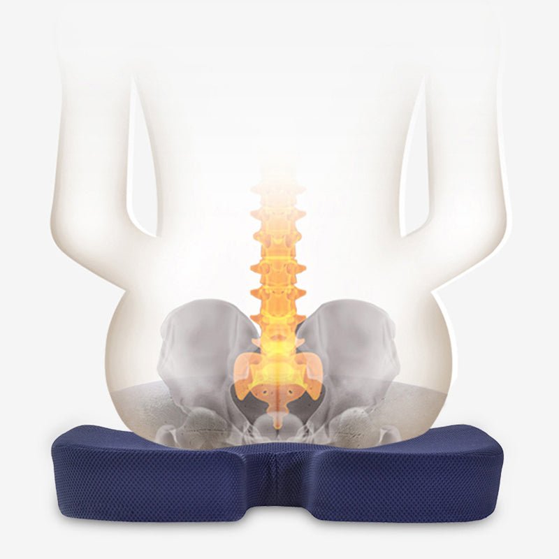Lumbar Back Support Set - NobAdy's Favorite