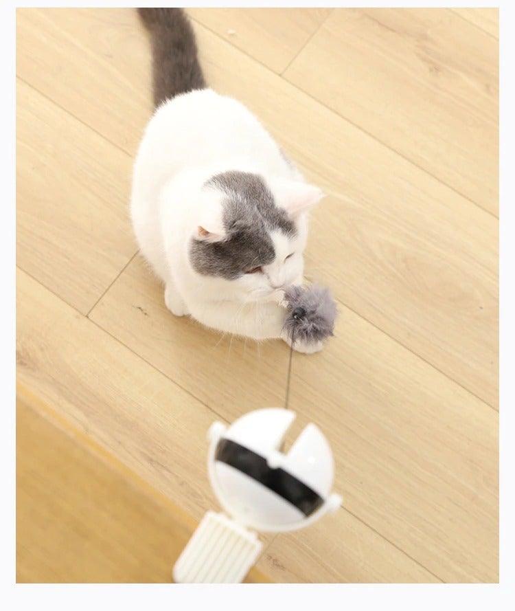 The Chase Interactive Cat Toy - NobAdy's Favorite