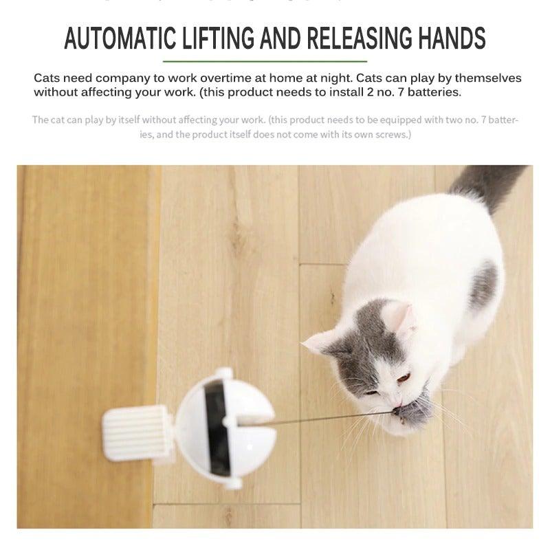 The Chase Interactive Cat Toy - NobAdy's Favorite