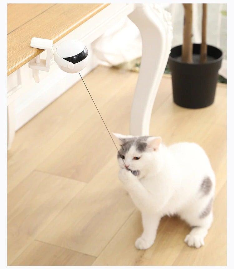 The Chase Interactive Cat Toy - NobAdy's Favorite