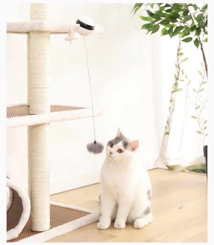 The Chase Interactive Cat Toy - NobAdy's Favorite