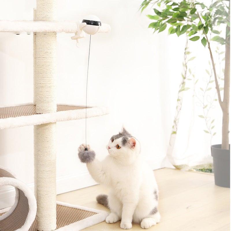 The Chase Interactive Cat Toy - NobAdy's Favorite