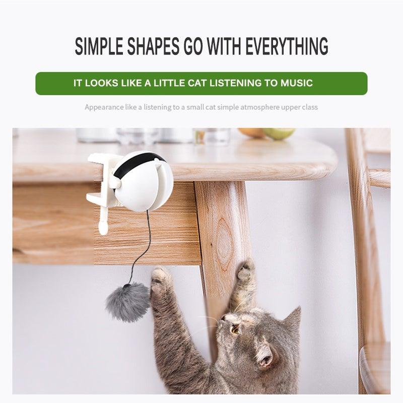 The Chase Interactive Cat Toy - NobAdy's Favorite