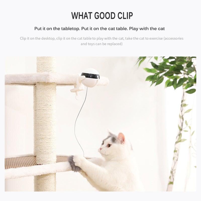 The Chase Interactive Cat Toy - NobAdy's Favorite