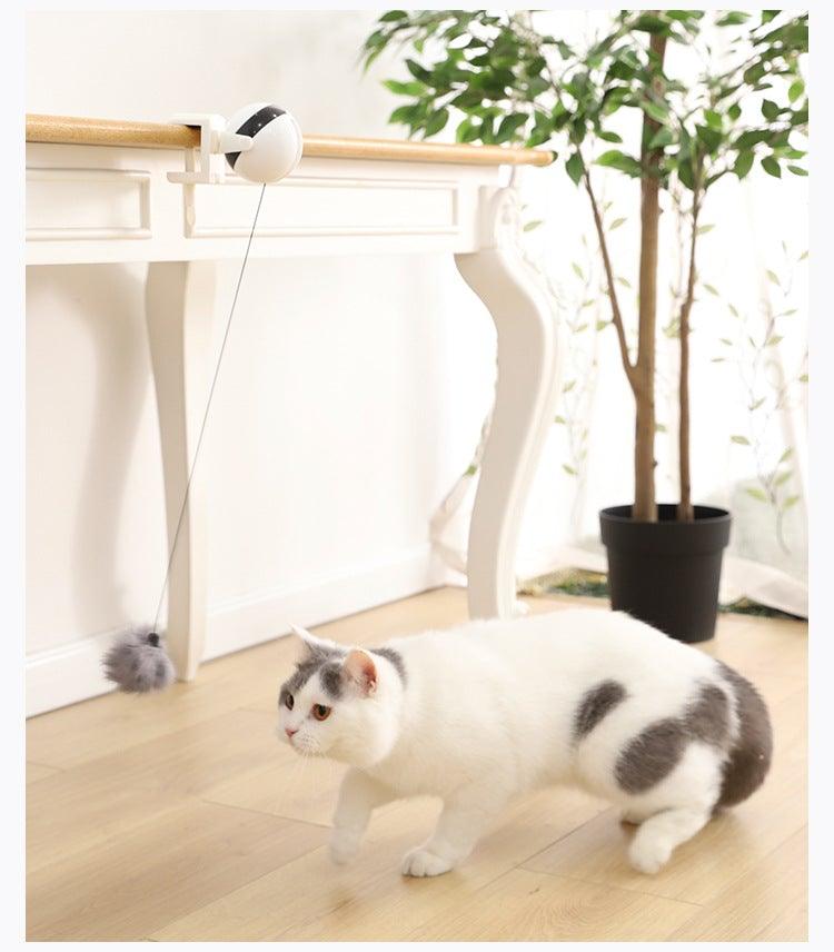 The Chase Interactive Cat Toy - NobAdy's Favorite