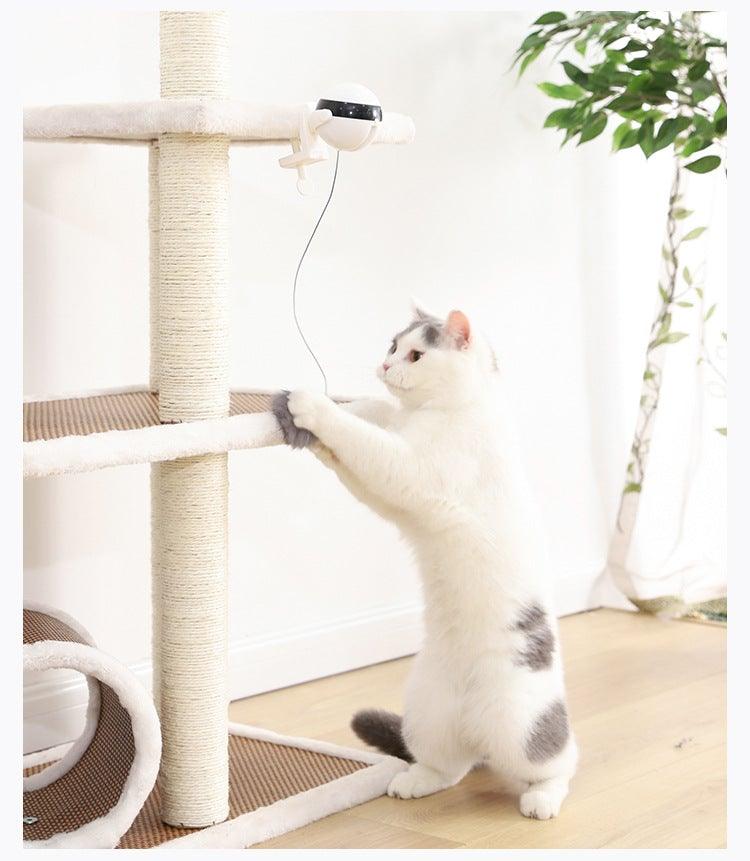 The Chase Interactive Cat Toy - NobAdy's Favorite