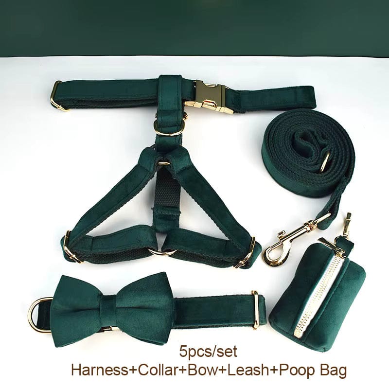 The Walk Premium Velvet Harness Set - NobAdy's Favorite
