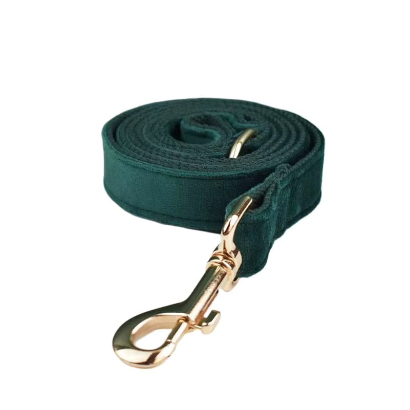The Walk Premium Velvet Harness Set - NobAdy's Favorite