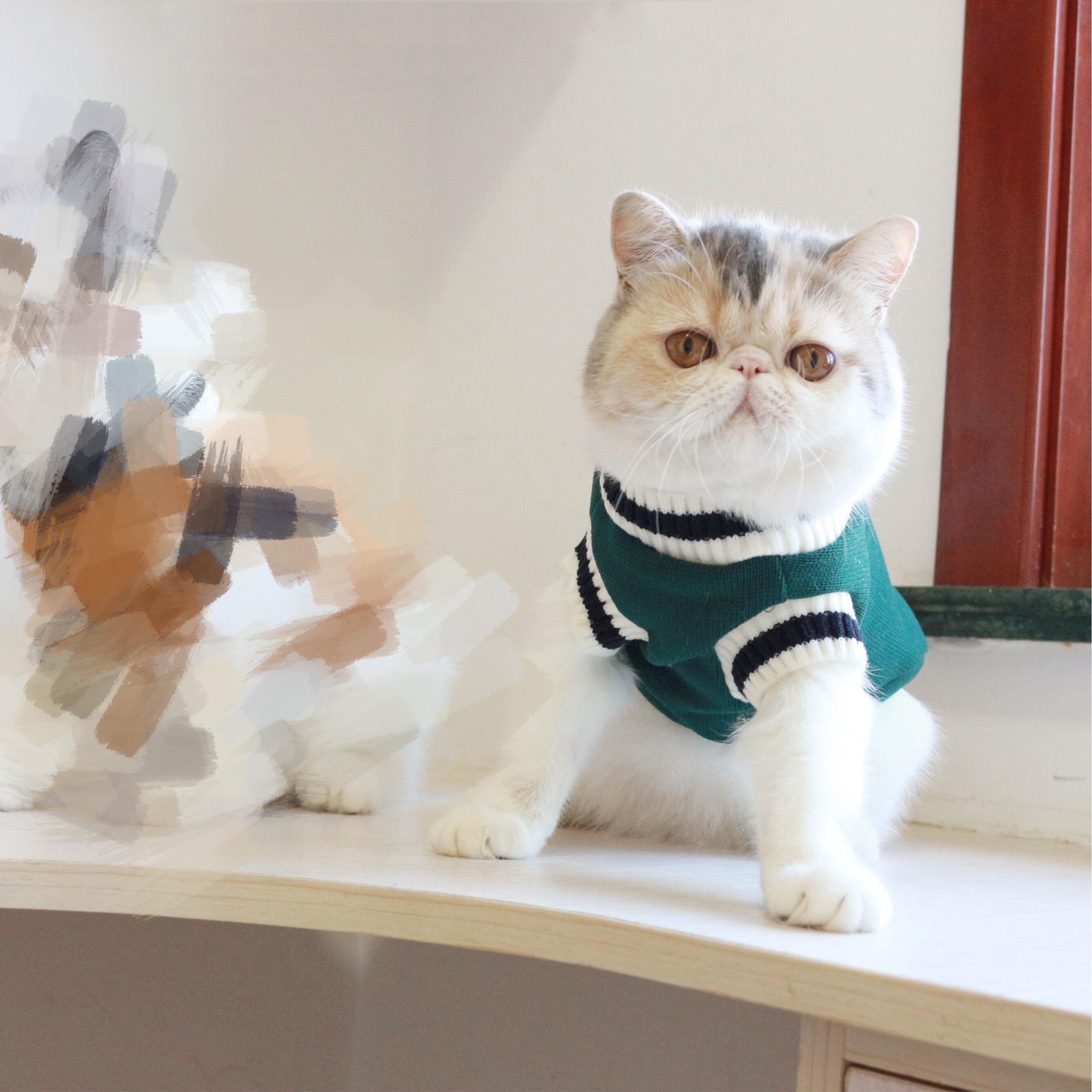 Varsity Knit Vest