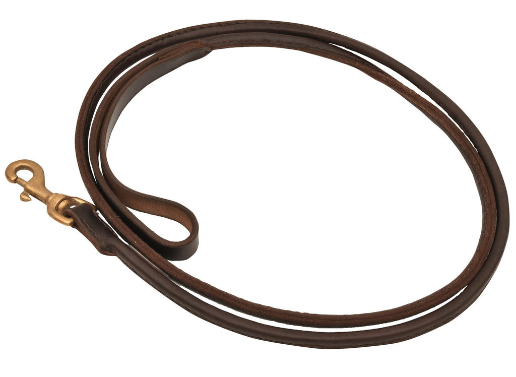 Jeffers Rolled Leather Dog Leash with Hand Strap Handle, 6'L - NobAdy's Favorite