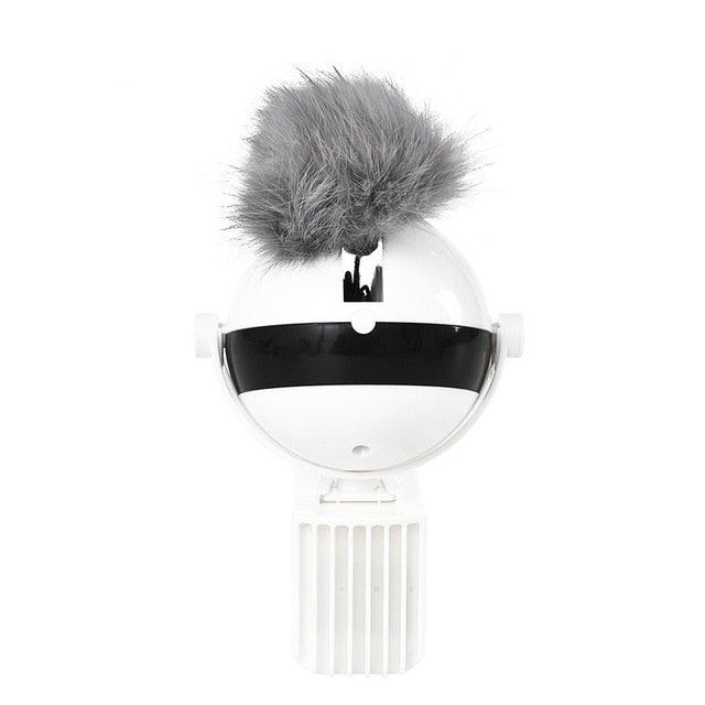 The Chase Interactive Cat Toy - NobAdy's Favorite
